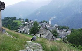 Campo Rasa